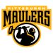 Pittsburgh Maulers Contracts, Cap Hits, Salaries, Free Agents